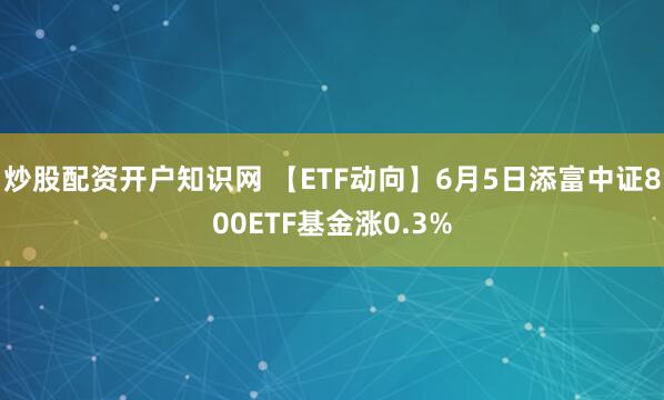 炒股配资开户知识网 【ETF动向】6月5日添富中证800ETF基金涨0.3%